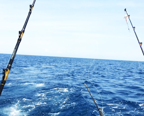 Ocean Adventures Kenya